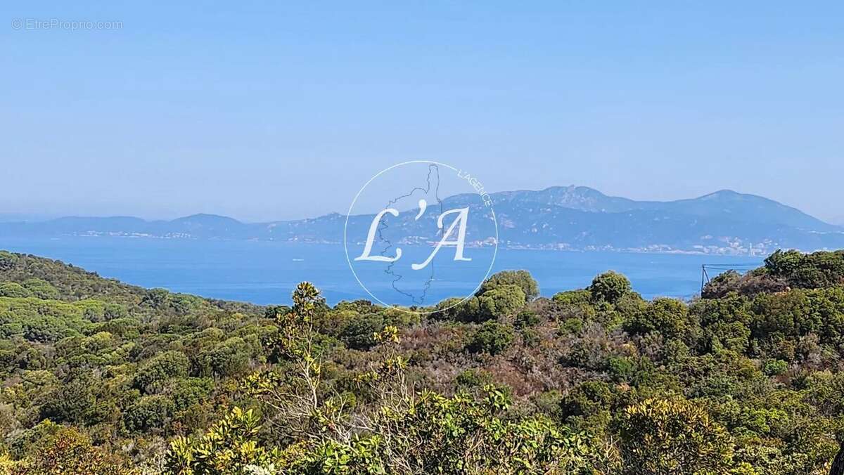 Terrain loisirs 6 679 m² vue mer Ajaccio Castagna Capo di Muro (Se Loger) - photo 3