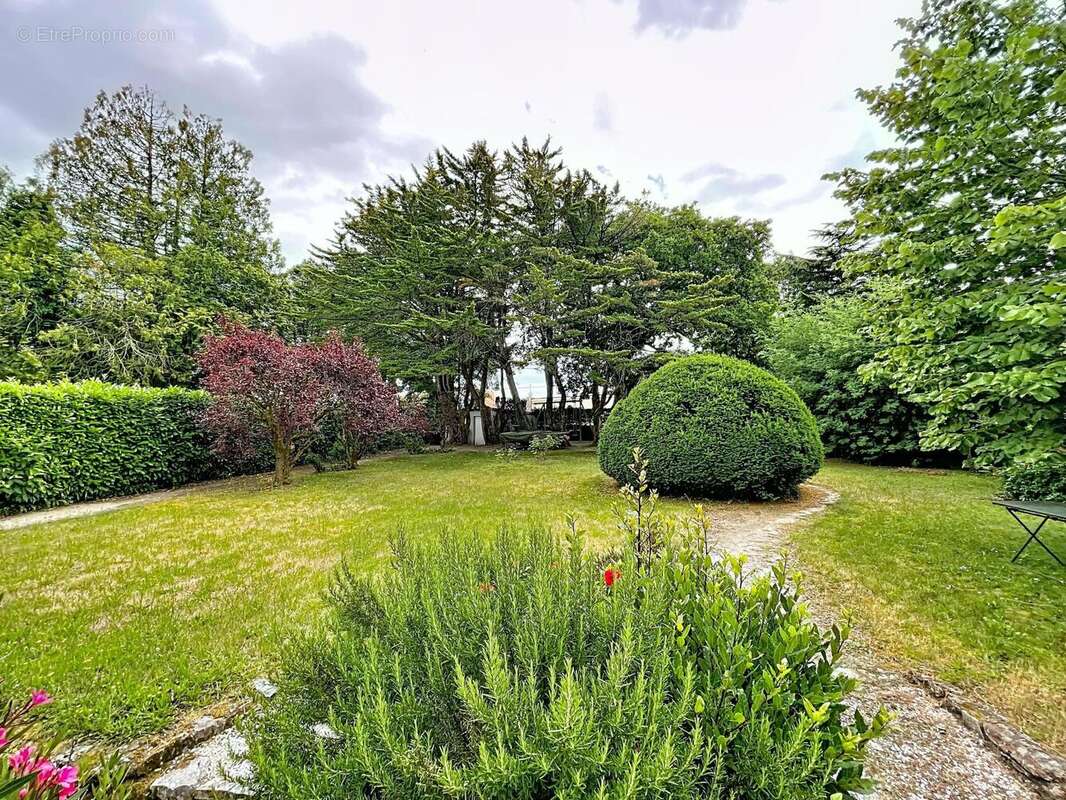 Photo 2 - Maison à SUCE-SUR-ERDRE
