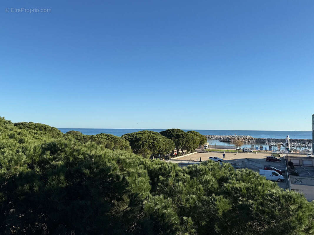 Photo 8 - Appartement à ARGELES-SUR-MER