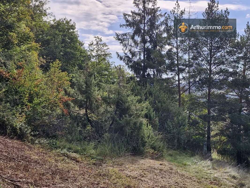 Terrain à LAVELANET