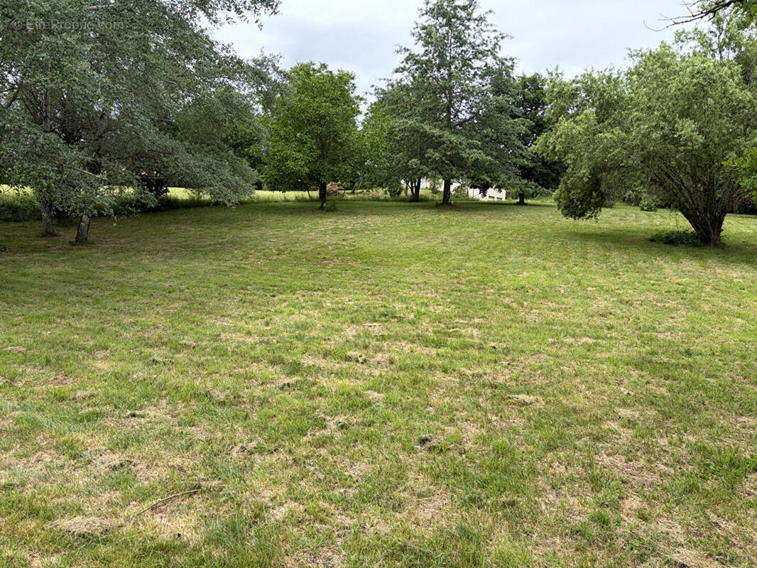 Terrain à NAUCELLES