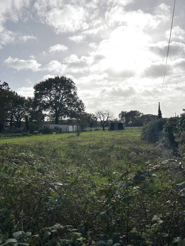 Terrain à LA DOMINELAIS