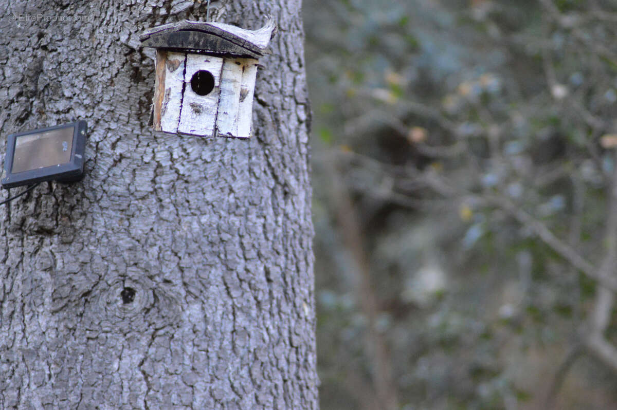 Maison à ARLES-SUR-TECH