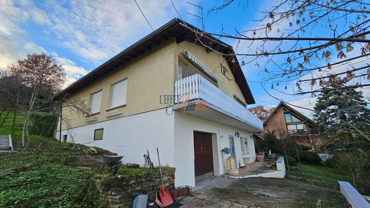 Maison à BERGHOLTZZELL