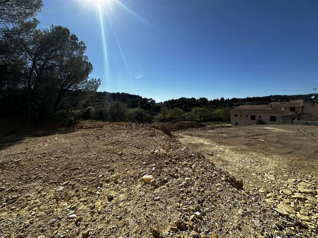 Terrain à SAINT-GEORGES-D'ORQUES