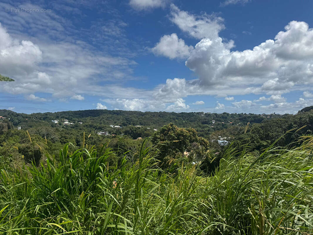 Terrain à FORT-DE-FRANCE