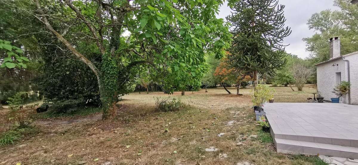 Vente de 2 maisons (1er 160 m² de type F4 + 2ème 46 m² de type F3) au milieu de son terrain de 16600 m² ! - photo 11