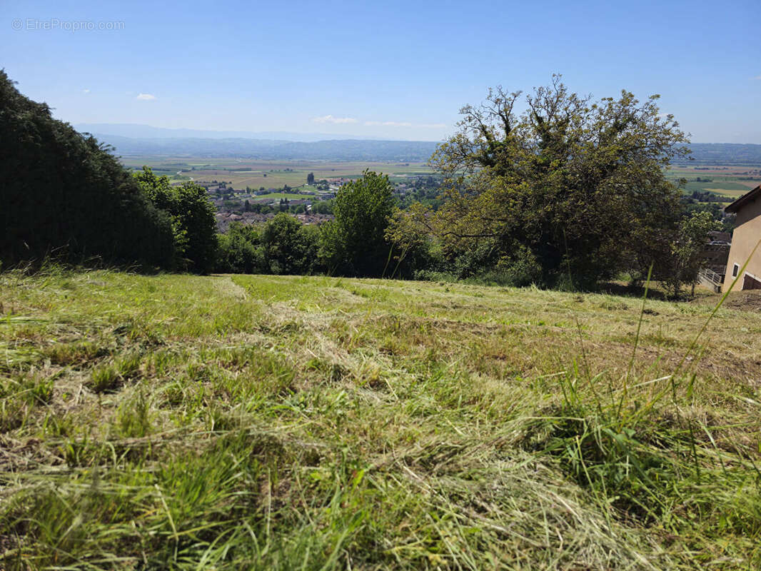 Terrain La Cote Saint Andre 1180 m2 - photo 7