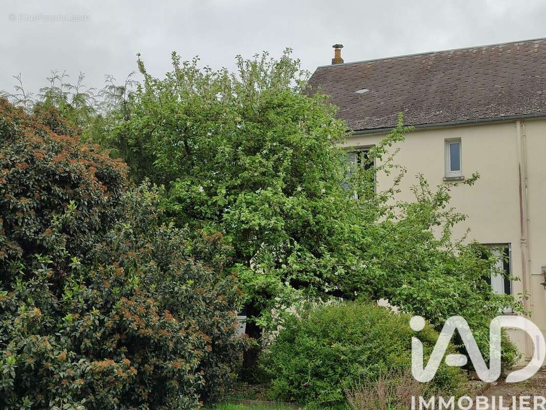 Photo 4 - Maison à ANGERVILLE