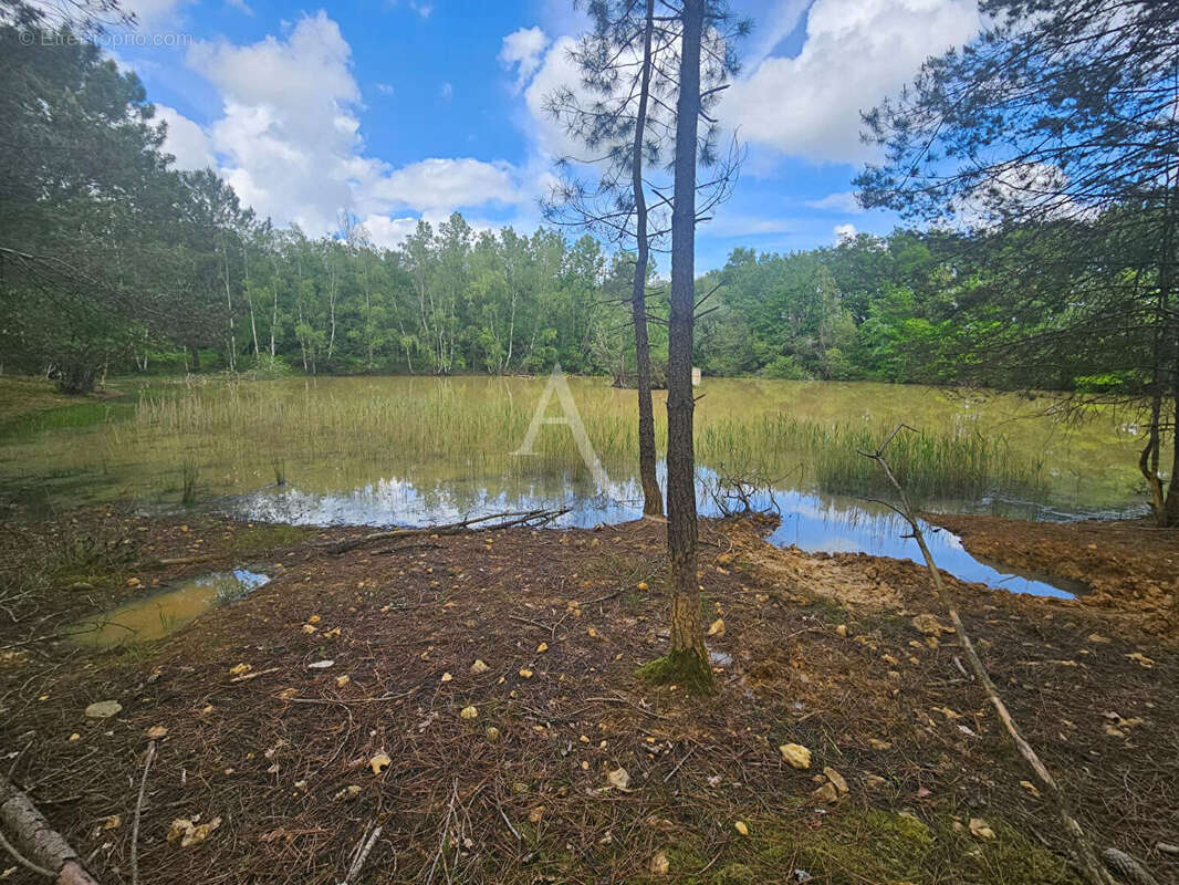 Terrain à CERE-LA-RONDE