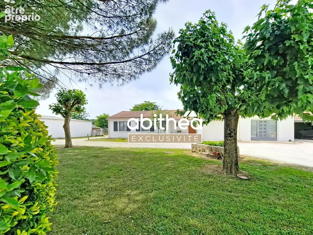 Rare  ideal artisan  350m2 de hangar  143m2 hab a rafraichir  6000m2 de terrain clos - photo 17