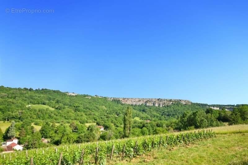 Terrain à VAUCHIGNON