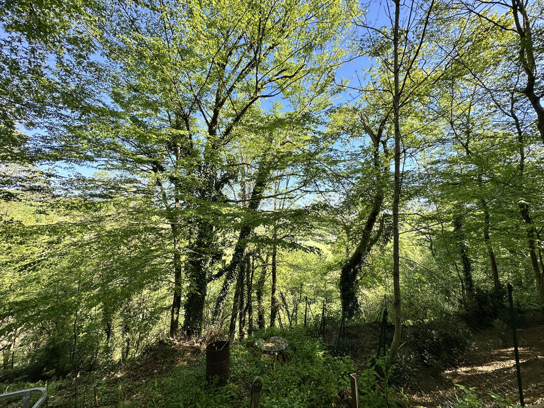 Maison à BOISSE-PENCHOT