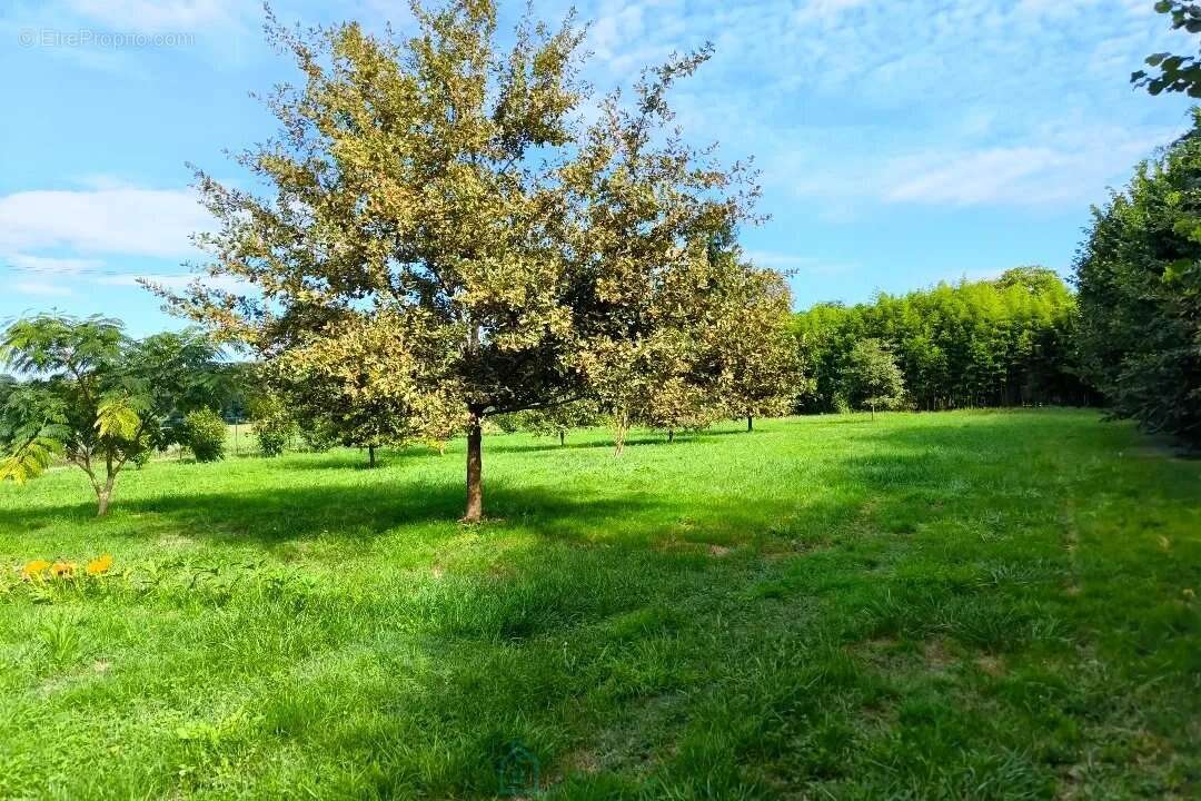 A  l'est de bergerac, maison de 2021 avec double garage et grand jardin - photo 12