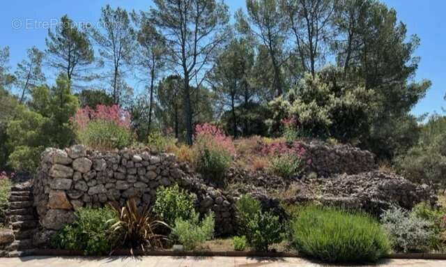 Maison à MONTFORT-SUR-ARGENS