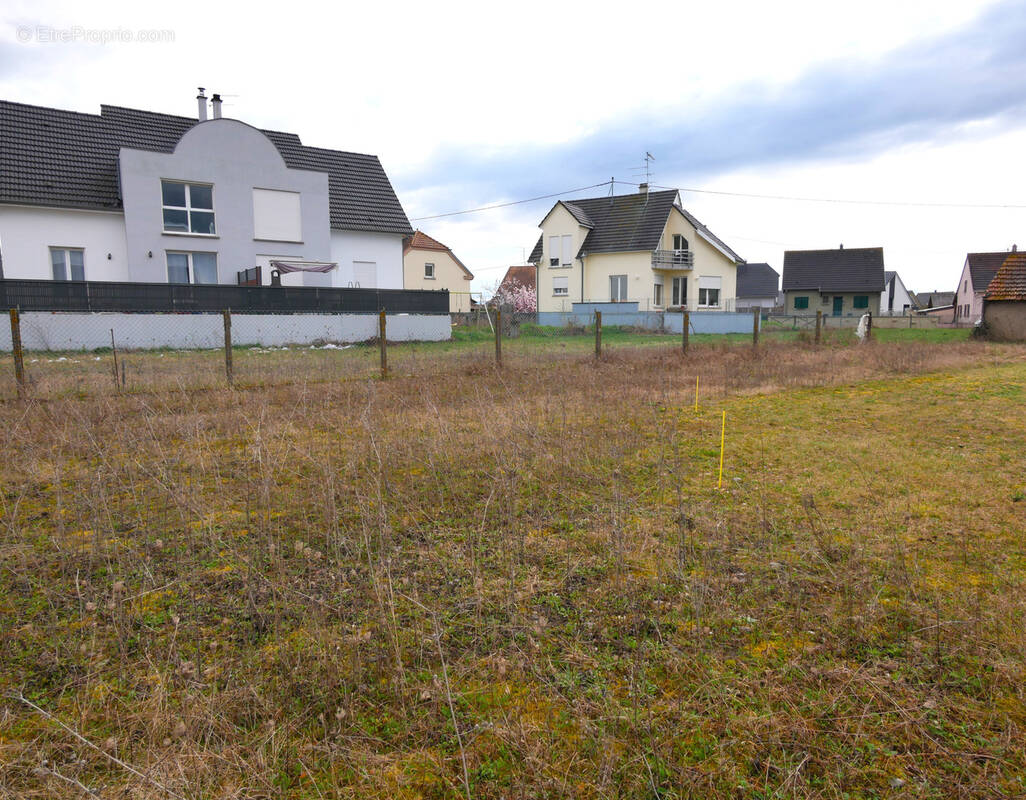 Terrain à HIRTZFELDEN