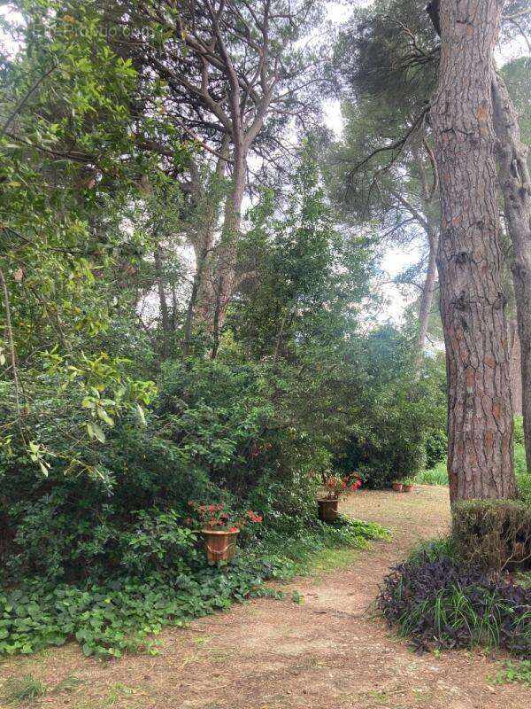 Maison à MONTPELLIER