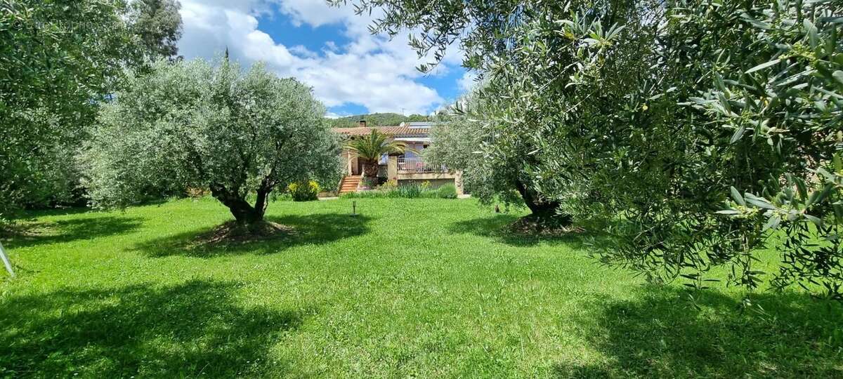 Villa familiale – dépendance – grand terrain arboré – piscine - photo 2