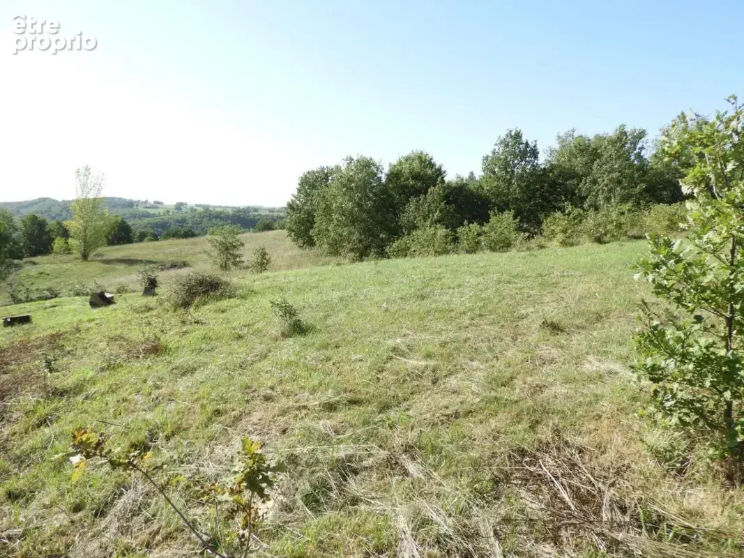 Terrain 942 m² à vendre à Realmont (81120) - photo 3