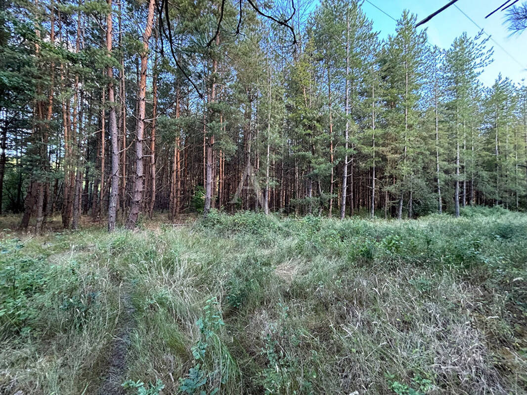 Terrain à FONTAINES-EN-SOLOGNE