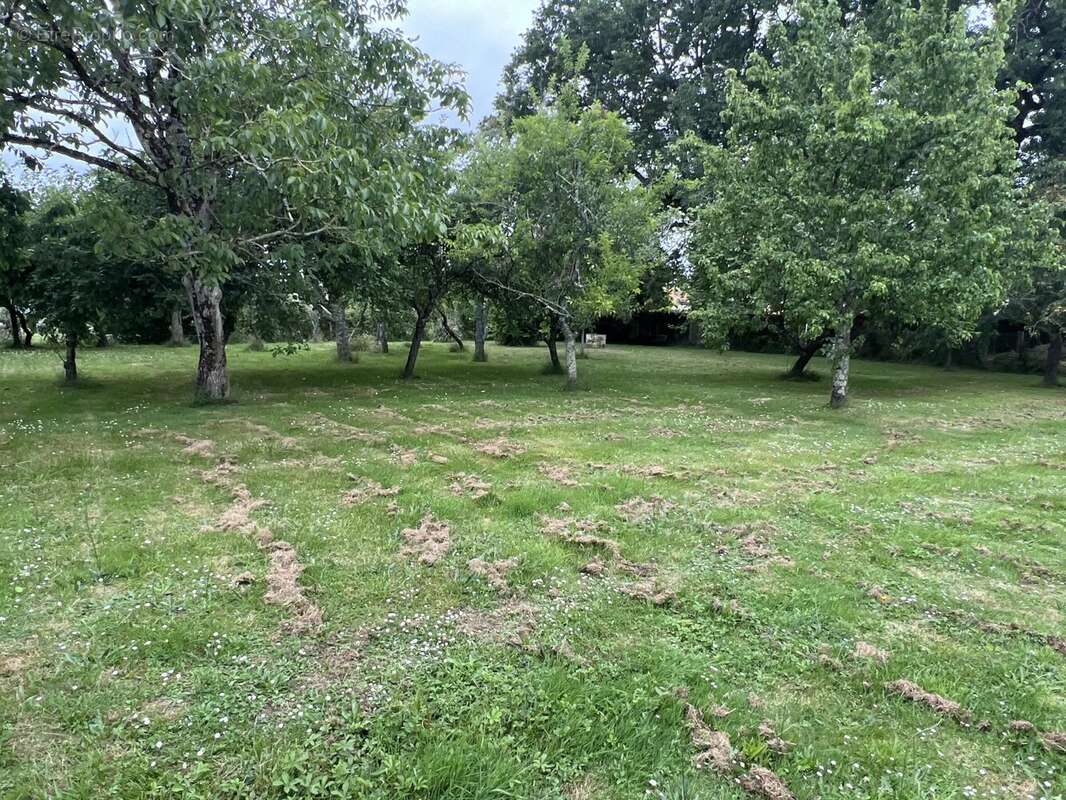 Maison à MEZIERES-SUR-ISSOIRE