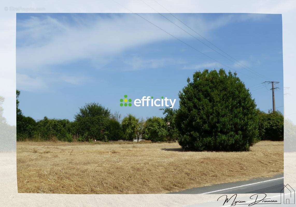 Terrain à SAINT-MACAIRE-EN-MAUGES