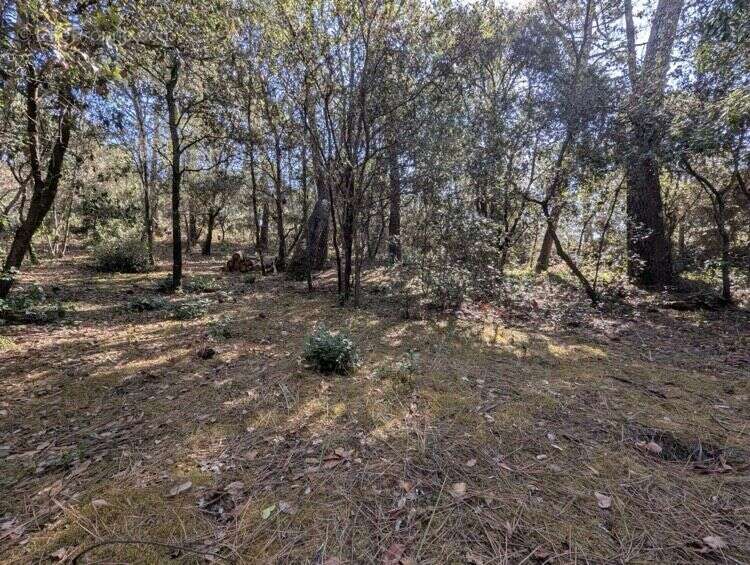 Terrain Constructible de 1550 m² à La Palmyre - photo 5