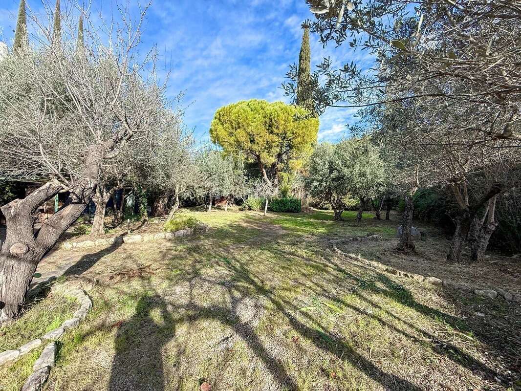 Maison à DRAGUIGNAN