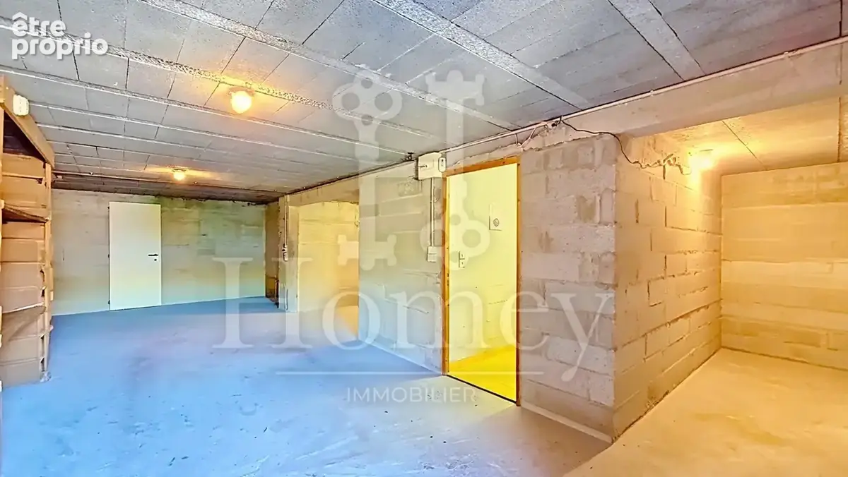 VIRY MALAGNY - Maison T7 312m2 Utiles - Logement T2 Indépendant - 400m Frontière Suisse - Terrain 1070m2 Pisci - photo 19