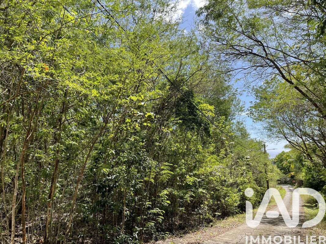 Photo 2 - Terrain à DESHAIES