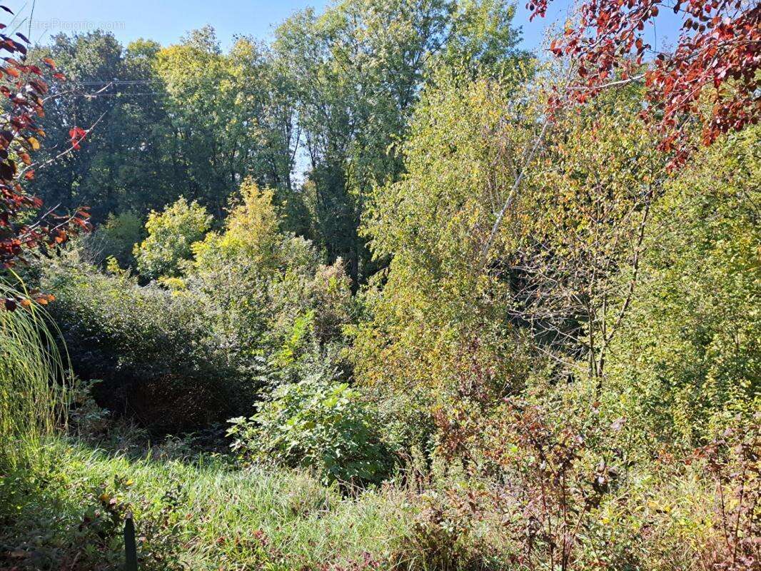 Maison à LA CHAPELLE-DE-SURIEU