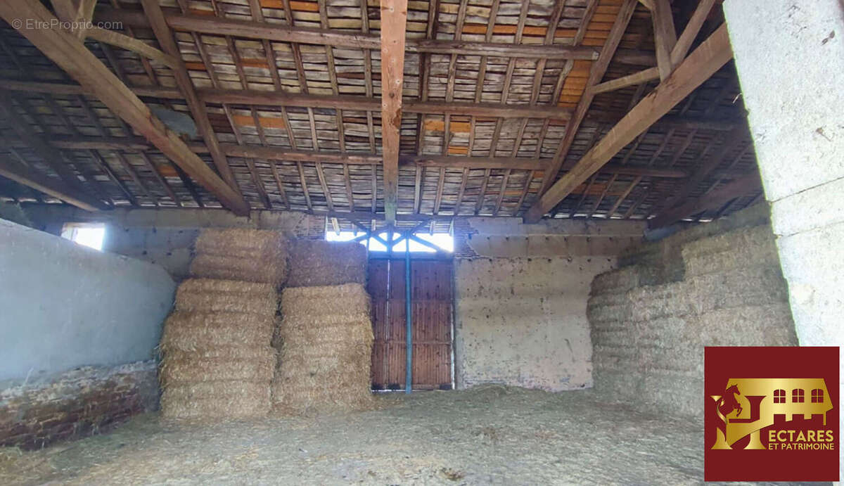 3 logements jusqu'à 16 hectares - photo 9