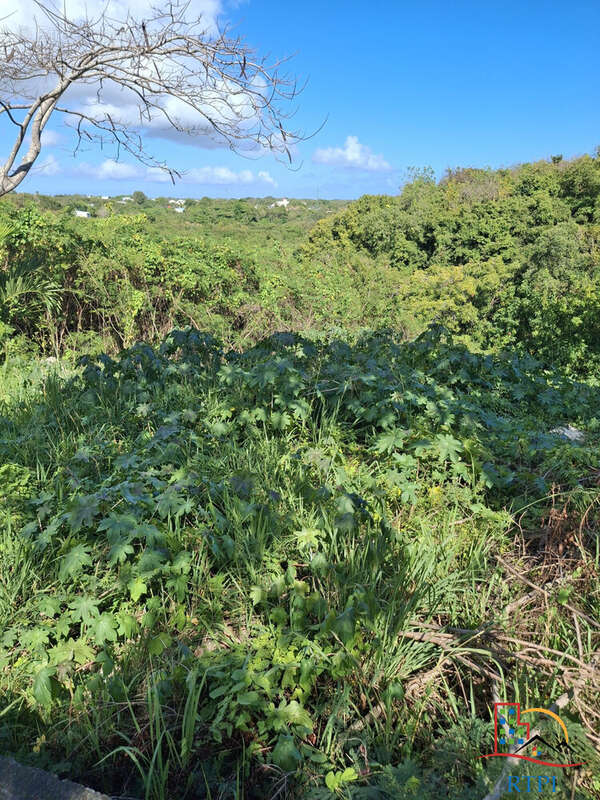 Terrain à SAINTE-ANNE