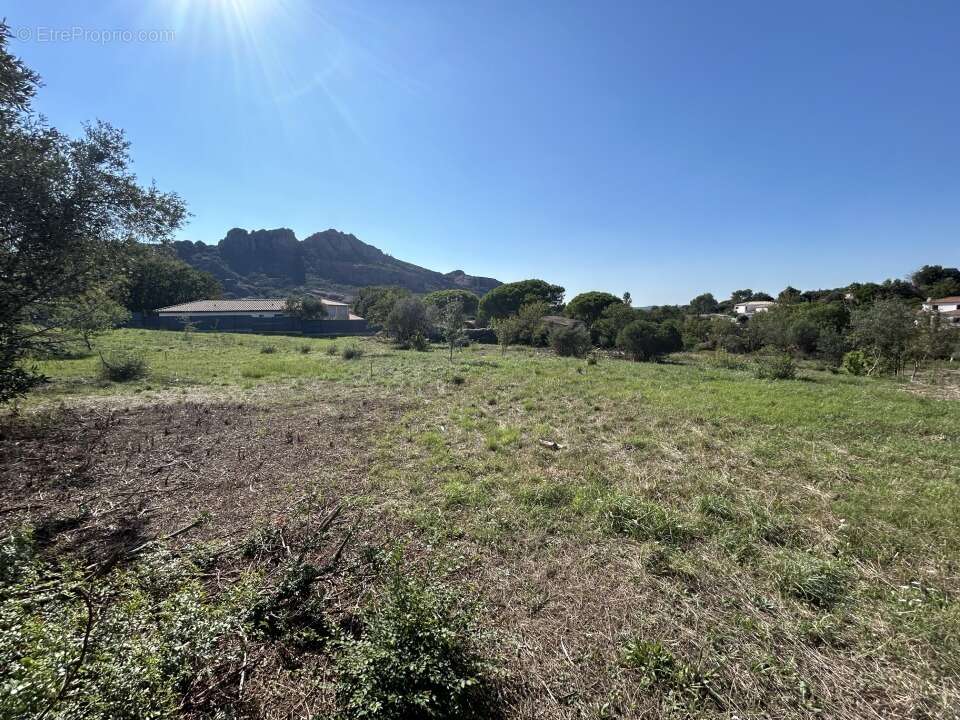 Terrain à ROQUEBRUNE-SUR-ARGENS