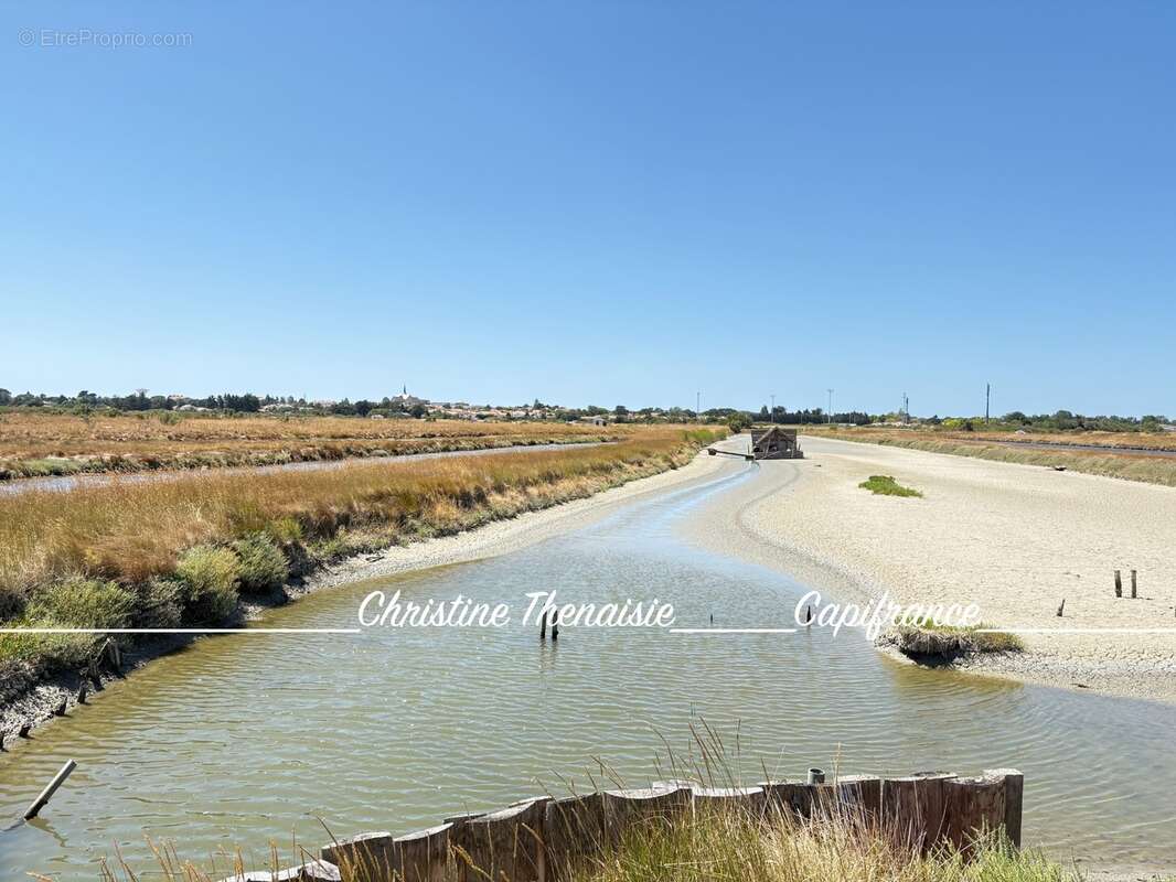 MARAIS avec cabane flottante à vendre Route du Sel à SAINT HILAIRE DE RIEZ (85) - photo 10