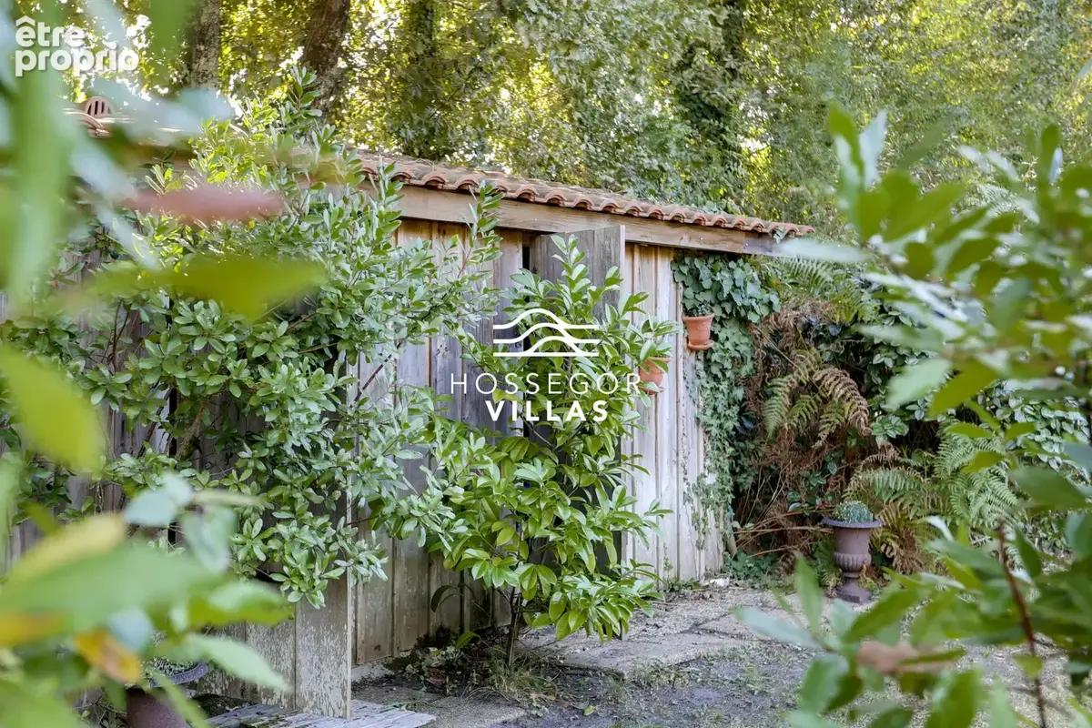 Villa floralie - photo 24
