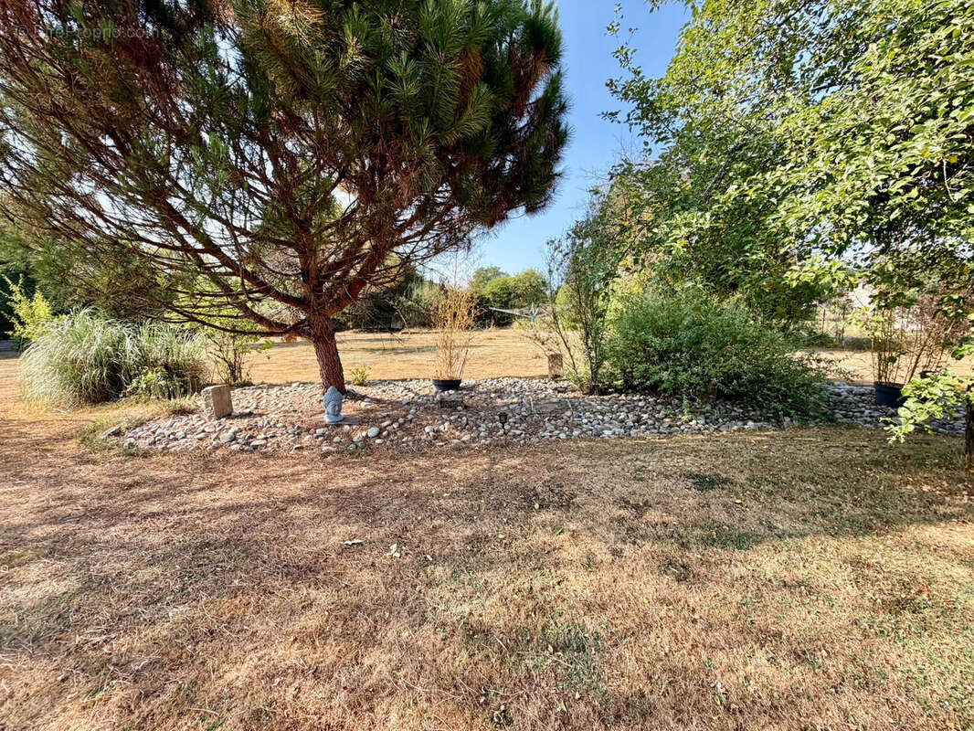Vente charmante maison rénovée, mitoyenne, sur terrain de  24,77 ares ROYE - photo 3