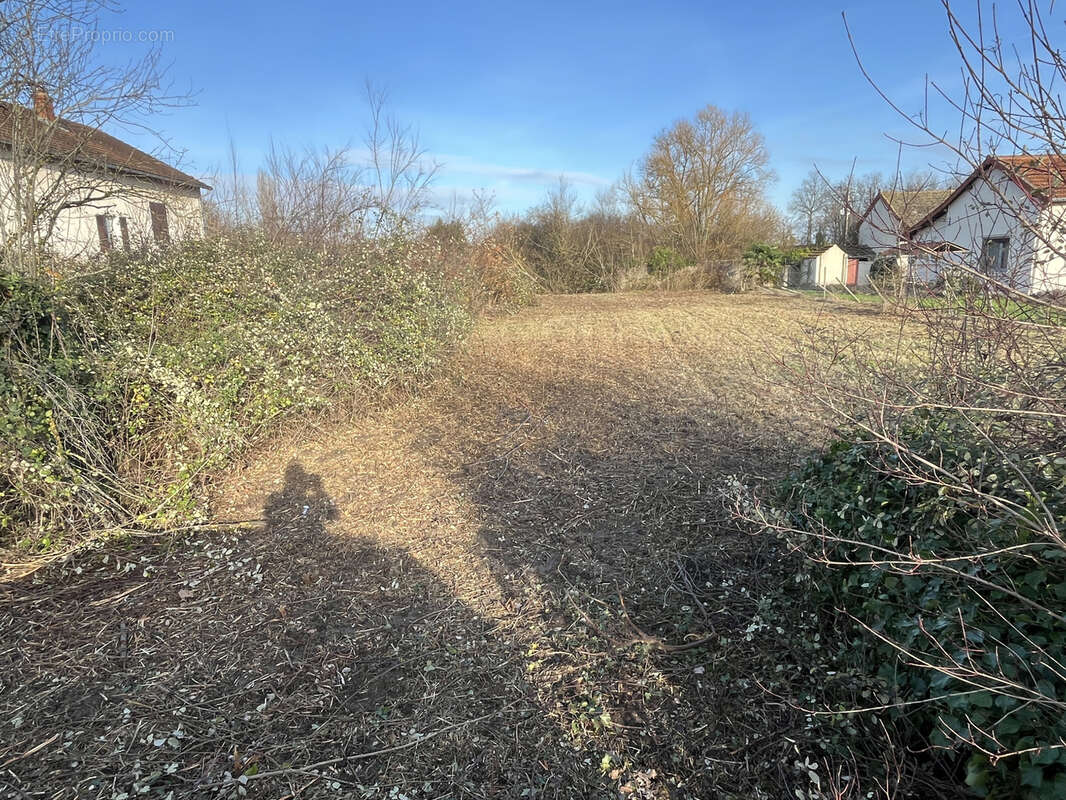 Terrain plat constructible - photo 4