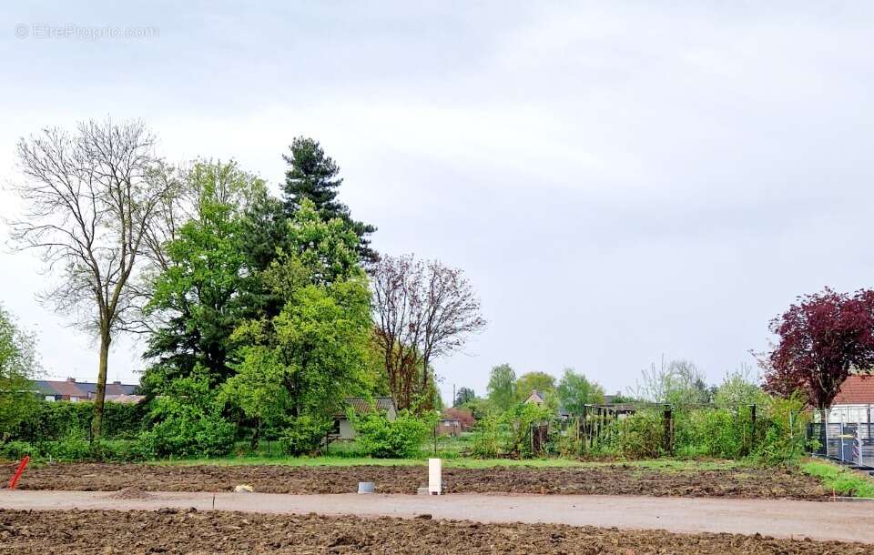 Terrain à LILLE