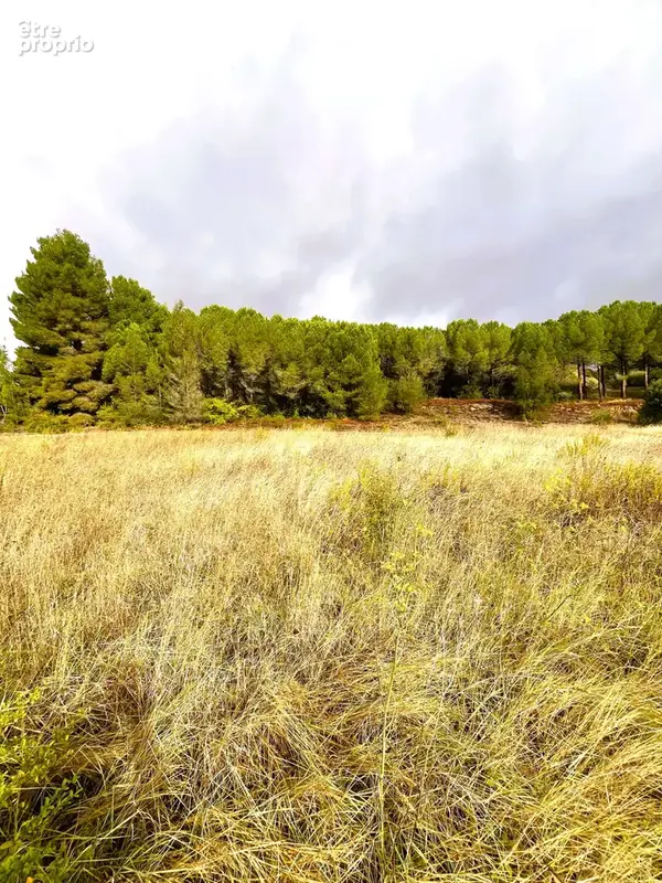 A  vendre terrain viabilise 2990m2  proche limoux - photo 2