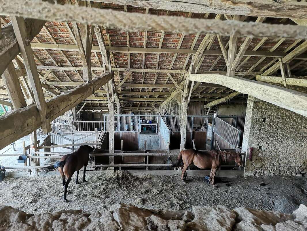 IMG20250516151103 - Maison à MONTESQUIOU