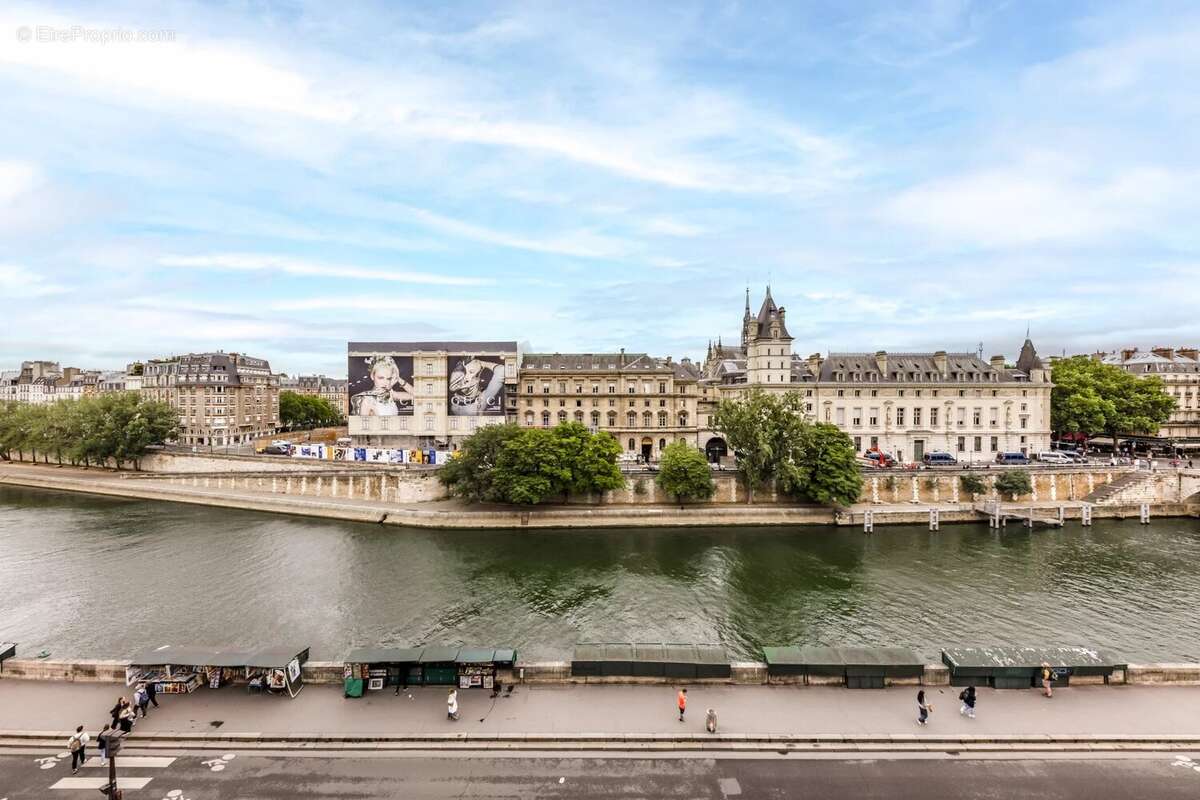 Appartement vue Seine et Notre-Dame - photo 17