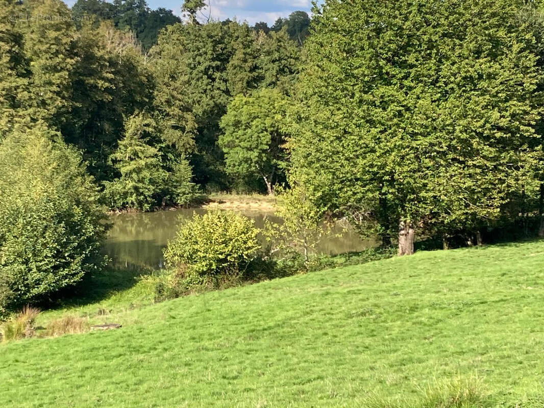 Maison à ROUMAZIERES-LOUBERT