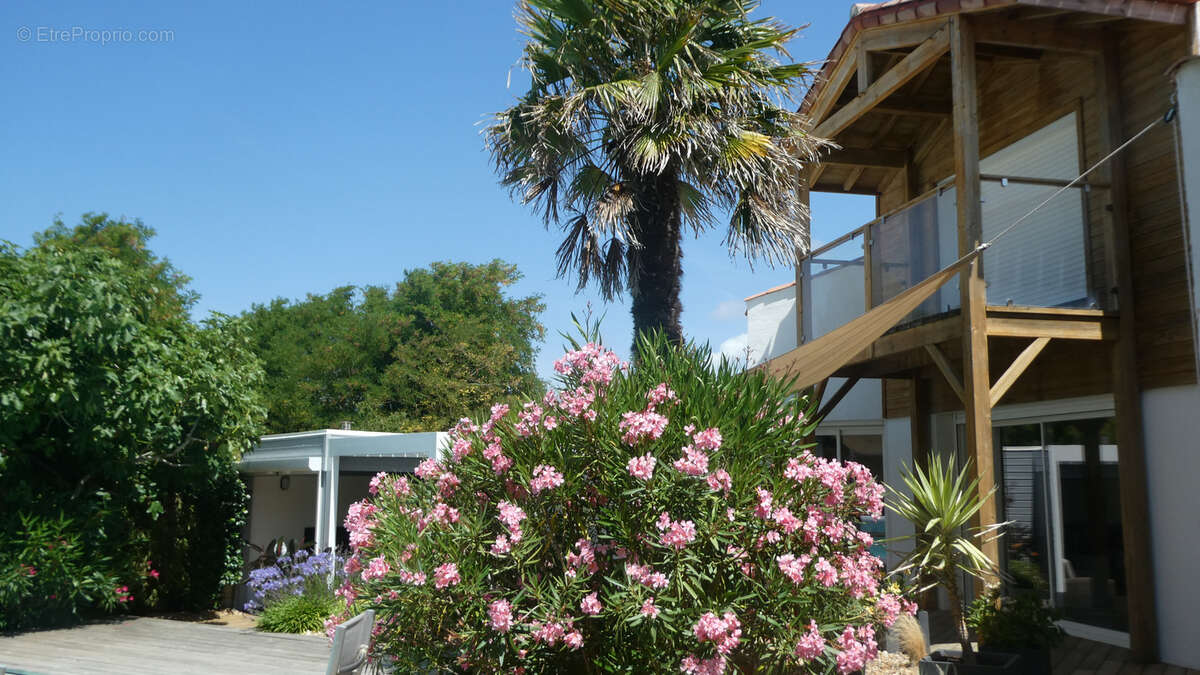 Maison à L&#039;ILE-D&#039;OLONNE