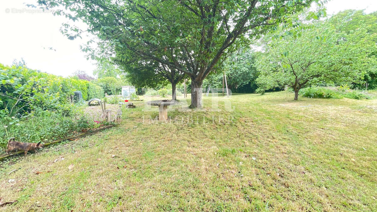 Maison à ASSE-LE-BOISNE