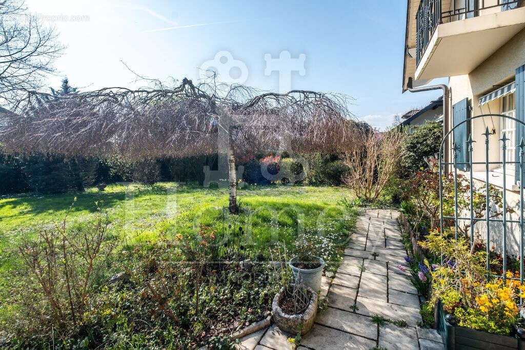 CHENS-SUR-LÉMAN - Maison d'Architecte 241m2 - Terrain 1346m2 Piscinable - 500m Lac Léman - 14km Genève - HOMEY - photo 6
