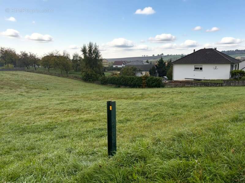 Terrain à GRINDORFF-BIZING