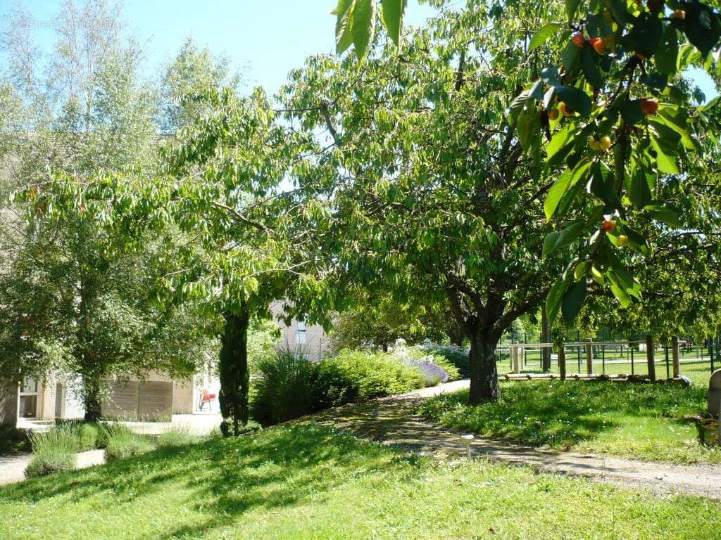 Appartement à CHATENOY-LE-ROYAL