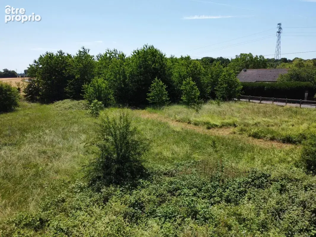 Terrain constructible arboré de 2 896 m² dans un environnement privilégié - La Madeleine de Nonancourt - photo 4