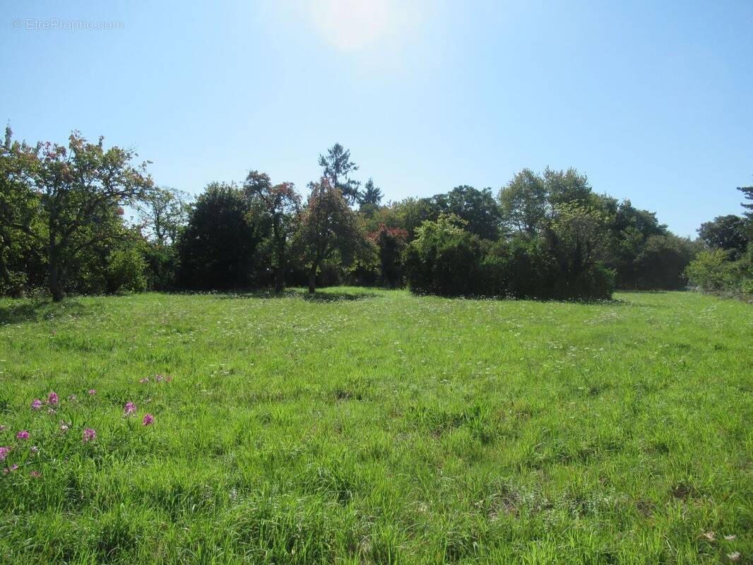 Terrain à VOUZON